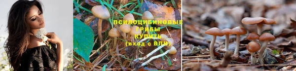 дживик Алексин